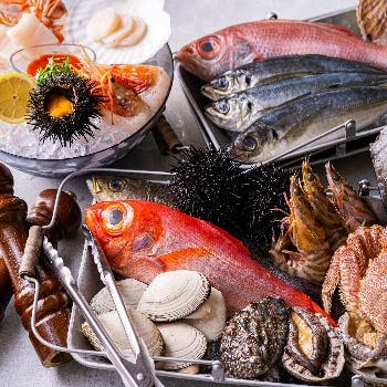 夜景が綺麗 The Penthouse With Weekend Terrace 三井ガーデンホテル豊洲ベイサイドクロス Okaimonoモール レストラン