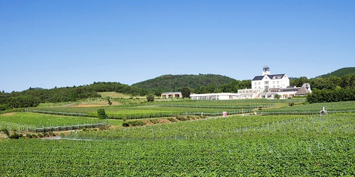 シャトーレストラン ナパ バレー シャトーレストラン ナパ バレー 牧之郷 洋食 一休 Comレストラン シャトーレストラン ナパ バレー シャトーレストラン ナパ バレー 牧之郷 洋食 一休 Comレストラン