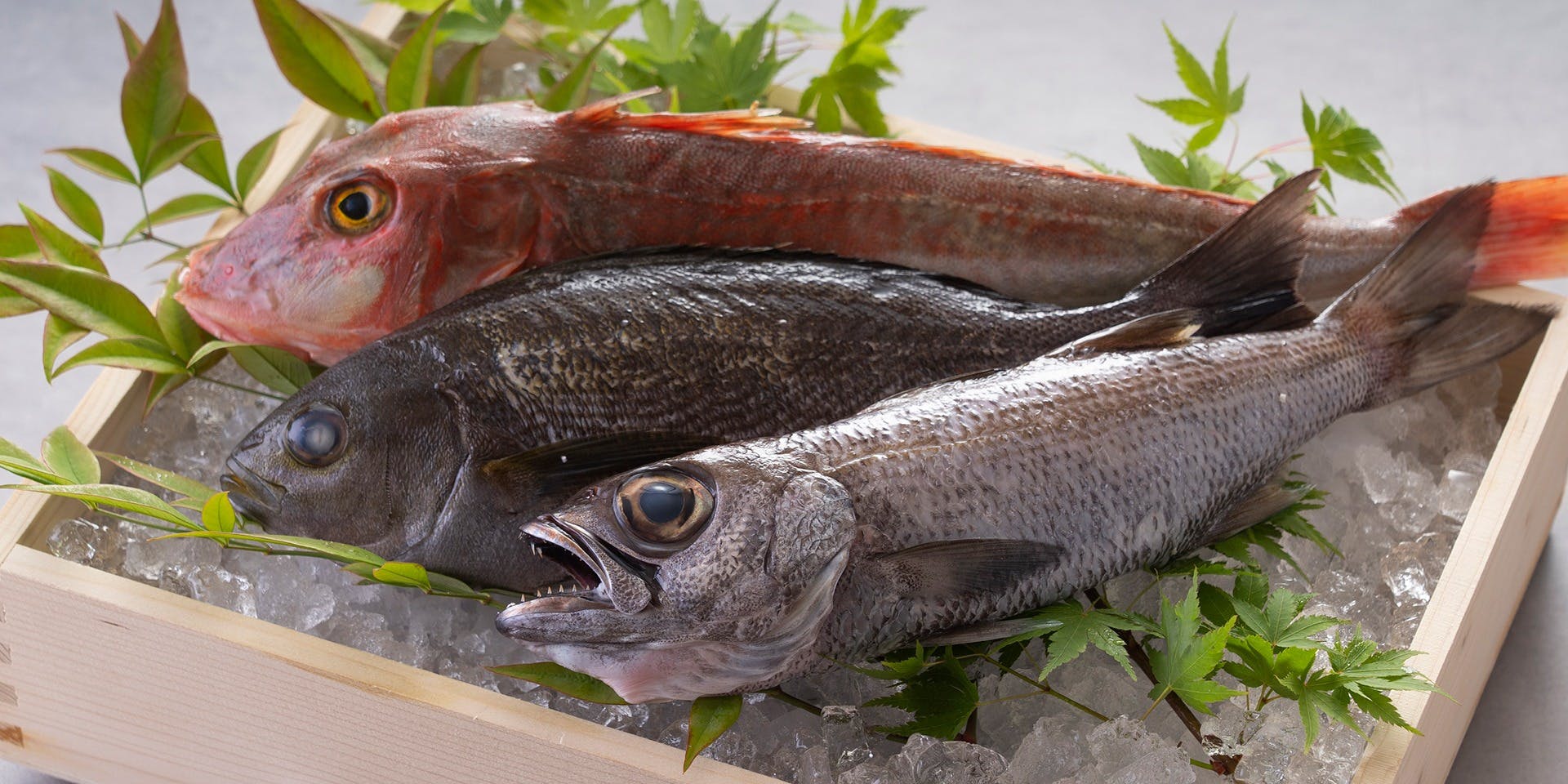 シャトーレストラン ナパ・バレー