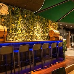 屋上ビアガーデン トップテラス新宿南口店 トップテラスシンジュク 新宿 ビアガーデン 一休 Comレストラン 屋上ビアガーデン トップテラス新宿南口店 トップテラスシンジュク 新宿 ビアガーデン 一休 Comレストラン