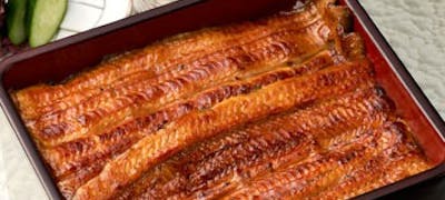 うなぎが楽しめる グルメ レストラン うなぎが楽しめる グルメ レストラン