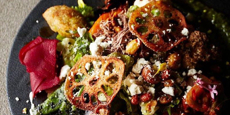 NEWLIGHT（ニューライト）