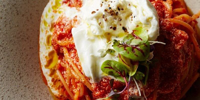 NEWLIGHT（ニューライト）