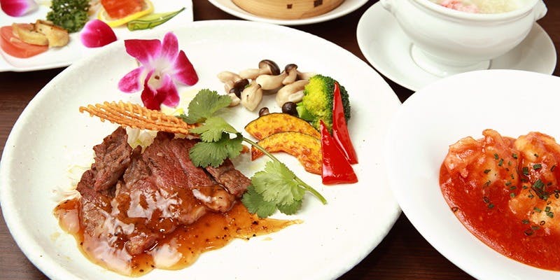 シェンロン（XHENLONG）