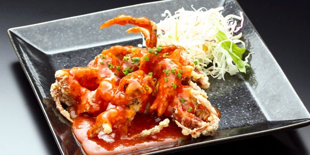 シェンロン（XHENLONG）