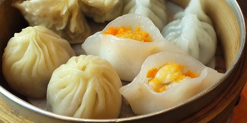 シェンロン（XHENLONG）