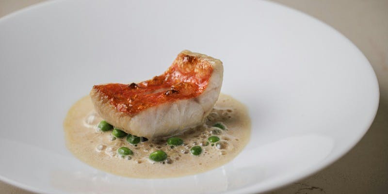 【SAISON】シェフおまかせ 8品ランチコース