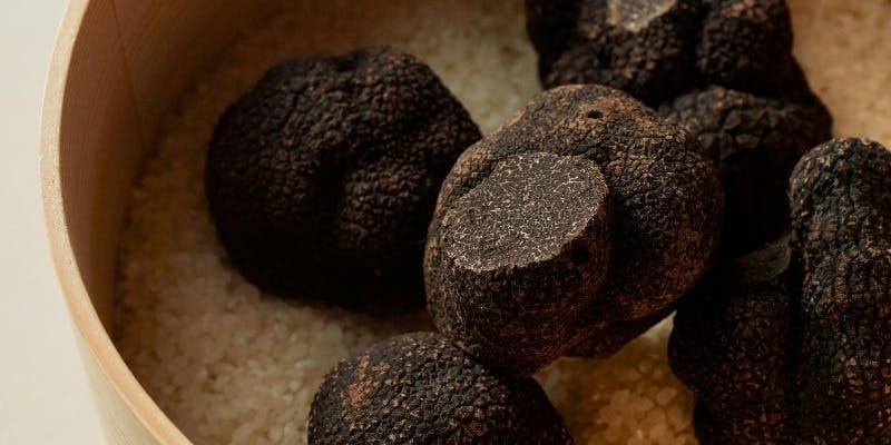 【Black Truffe】 シェフおまかせ黒トリュフ 特別コース全8品（1/10～3/1）