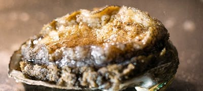21年 最新 福岡の美味しいディナー30店 夜ご飯におすすめな人気店 一休 Comレストラン 21年 最新 福岡の美味しいディナー30店 夜ご飯におすすめな人気店 一休 Comレストラン