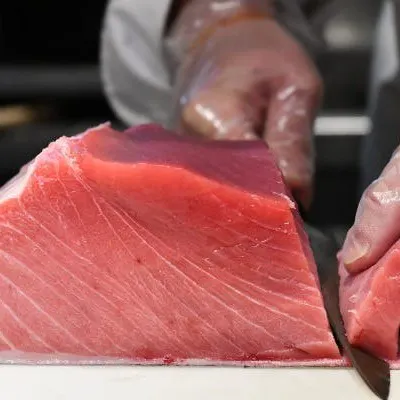 希少価値の高い生マグロを存分にご堪能!