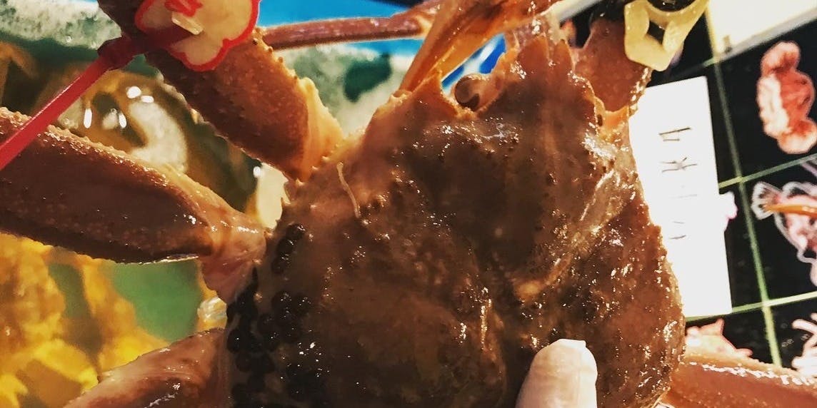 活かに 北斗 - 画像11