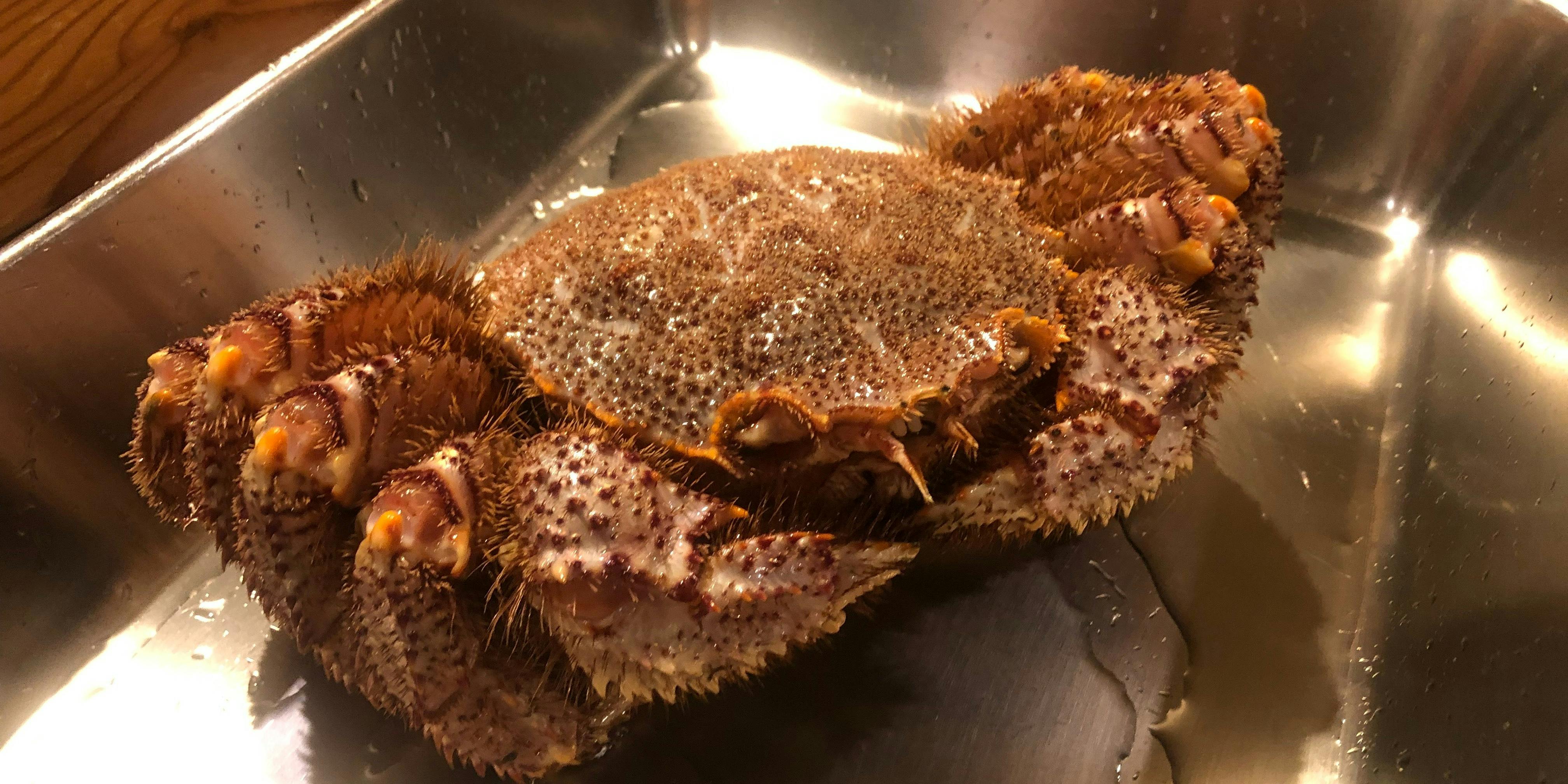 活かに 北斗 - 画像9