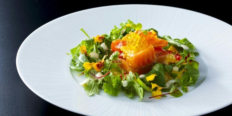 MILANO�bGRILL�^�n�C�A�b�g ���[�W�F���V�[ ���l