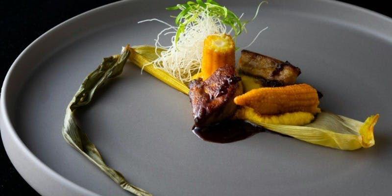 MILANO�bGRILL�^�n�C�A�b�g ���[�W�F���V�[ ���l