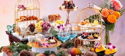 名古屋 ケーキバイキング ケーキ食べ放題ランチ ティー特集22 一休 Comレストラン 名古屋 ケーキバイキング ケーキ食べ放題ランチ ティー特集22 一休 Comレストラン