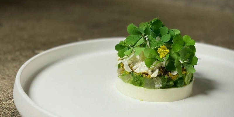 Noeud.TOKYO - 画像11