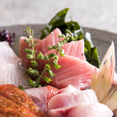 新鮮な相模湾鮮魚