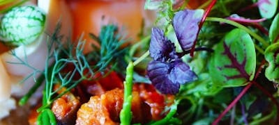 自由が丘ランチ21 おすすめ 絶品お昼ごはん17選 一休 Comレストラン 自由が丘ランチ21 おすすめ 絶品お昼ごはん17選 一休 Comレストラン