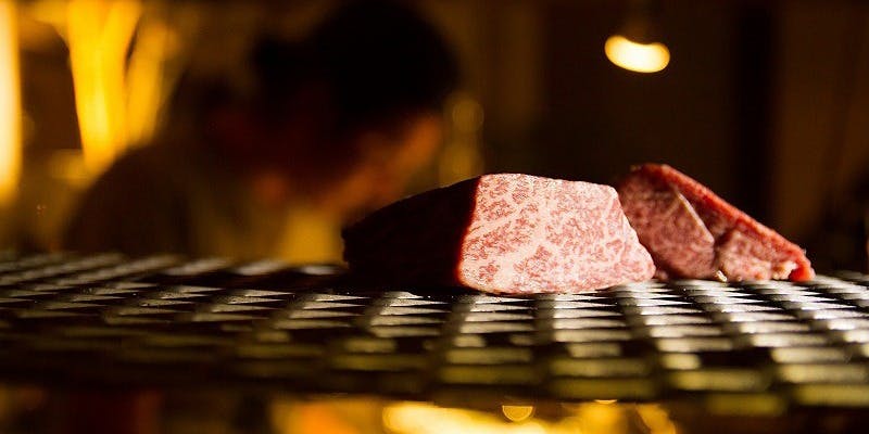 アカミヤコウシ（AKAMIYACOWSI）