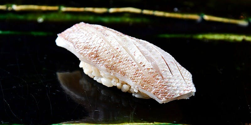 月の木（つきのき）