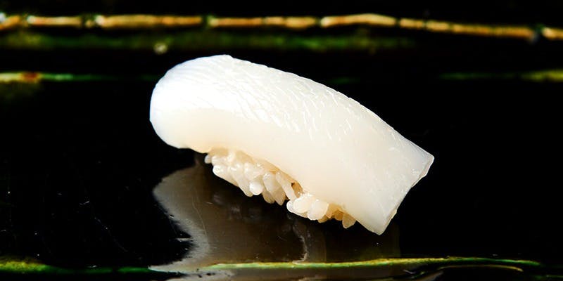 月の木（つきのき）