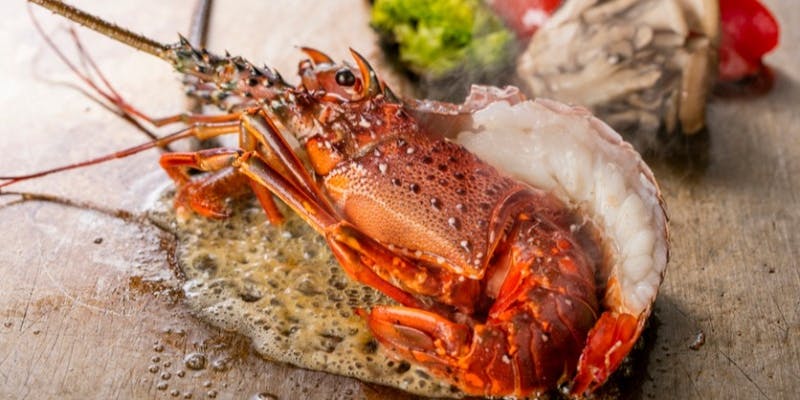 TEPPANYAKI 10 steak & lobster