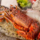 TEPPANYAKI 10 steak & lobster