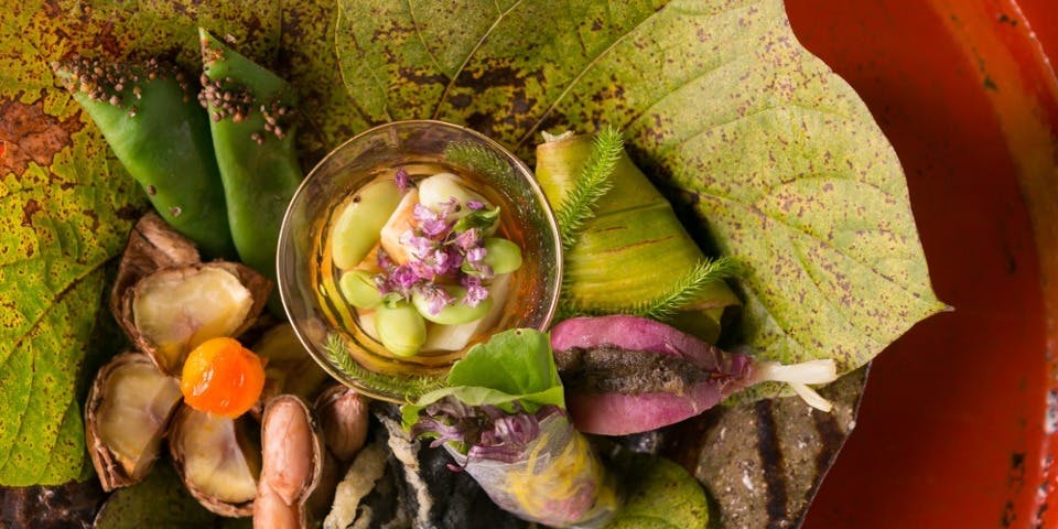 草を喰む - 京都「なかひがし」の四季【ケース付】 草をはむ: 京都なかひがしの四季 | 柏井 壽, 洋志, 管 |本 | 通販 | Amazon