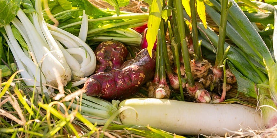 草喰 なかひがし - 画像8