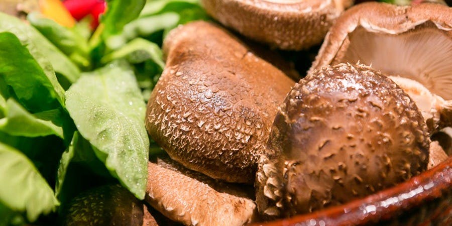 草喰 なかひがし - 画像9