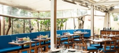 表参道ランチ21 おすすめ 絶品お昼ごはん30選 一休 Comレストラン 表参道ランチ21 おすすめ 絶品お昼ごはん30選 一休 Comレストラン