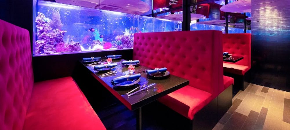 21年 最新 新宿バルト9周辺の美味しいディナー24店 夜ご飯におすすめな人気店 一休 Comレストラン 21年 最新 新宿バルト9周辺の美味しいディナー24店 夜ご飯におすすめな人気店 一休 Comレストラン