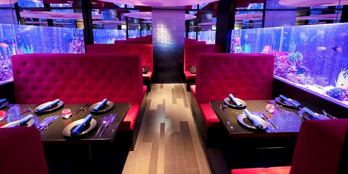 新宿のランチで女子会におすすめレストラントップ12 一休 Comレストラン 新宿のランチで女子会におすすめレストラントップ12 一休 Comレストラン