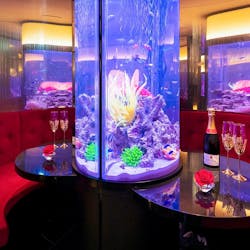 アクアリウムダイニング Jemare ジェマーレ 新宿三丁目 アクアリウムダイニング 一休 Comレストラン アクアリウムダイニング Jemare ジェマーレ 新宿三丁目 アクアリウムダイニング 一休 Comレストラン