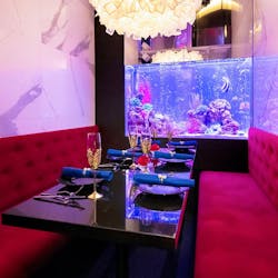アクアリウムダイニング Jemare ジェマーレ 新宿三丁目 アクアリウムダイニング 一休 Comレストラン アクアリウムダイニング Jemare ジェマーレ 新宿三丁目 アクアリウムダイニング 一休 Comレストラン