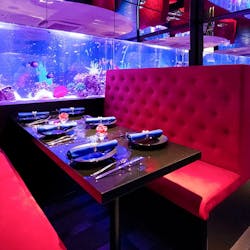 アクアリウムダイニング Jemare ジェマーレ 新宿三丁目 アクアリウムダイニング 一休 Comレストラン アクアリウムダイニング Jemare ジェマーレ 新宿三丁目 アクアリウムダイニング 一休 Comレストラン