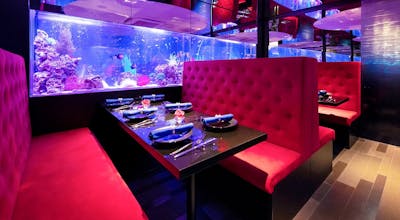 ランチ アクアリウムダイニング 新宿ライム アクアリウムダイニング シンジュクライム 新宿 アクアリウムダイニング 一休 Comレストラン ランチ アクアリウムダイニング 新宿ライム アクアリウムダイニング シンジュクライム 新宿 アクアリウムダイニング 一休 Comレストラン