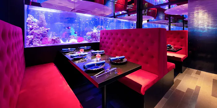 アクアリウムダイニング Jemare ジェマーレ 新宿三丁目 アクアリウムダイニング 一休 Comレストラン アクアリウムダイニング Jemare ジェマーレ 新宿三丁目 アクアリウムダイニング 一休 Comレストラン