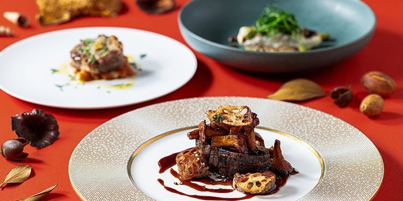 【季節のディナー】季節の味覚を味わう、お魚とお肉のWメインディナー