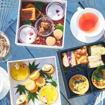 クリスマス ディナー ザ ライブリー キッチン The Lively Honmachi Osaka ザ ライブリー大阪本町 Okaimonoモール レストラン