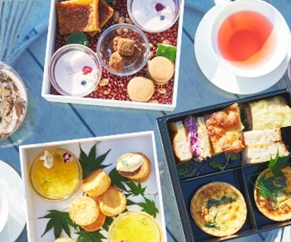 クリスマス ディナー ザ ライブリー キッチン The Lively Honmachi Osaka ザ ライブリー大阪本町 Okaimonoモール レストラン クリスマス ディナー ザ ライブリー キッチン The Lively Honmachi Osaka ザ ライブリー大阪本町 Okaimonoモール レストラン