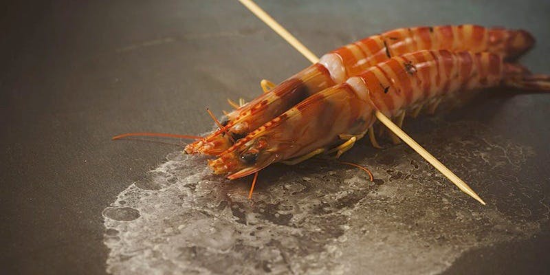 シラカチ 鉄板焼