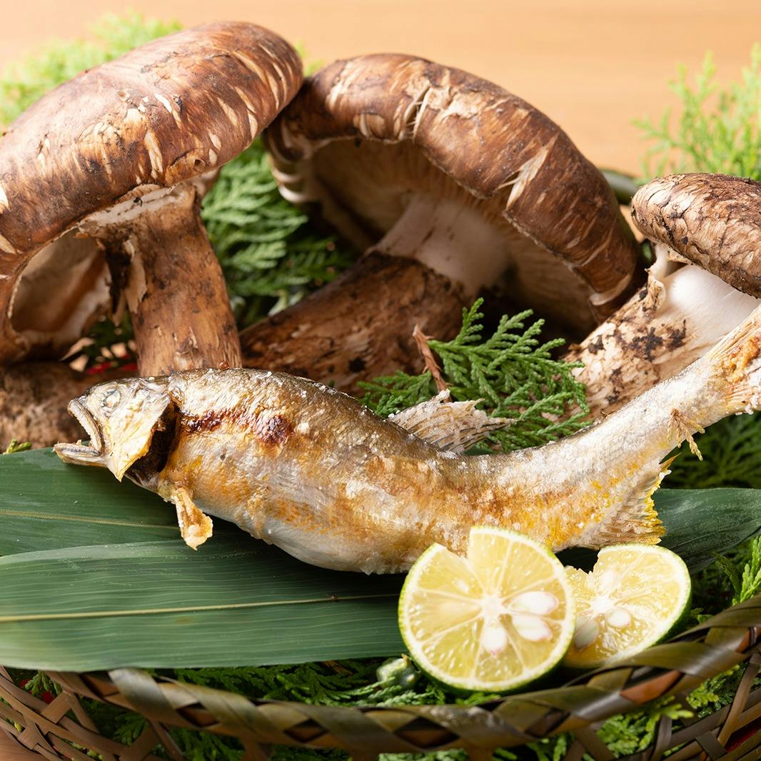 かどで家 会席コース 前菜 造り 焼物 ふぐ料理 お食事など約11品 ディナー プラン メニュー 一休 Comレストラン かどで家 会席コース 前菜 造り 焼物 ふぐ料理 お食事など約11品 ディナー プラン メニュー 一休 Comレストラン