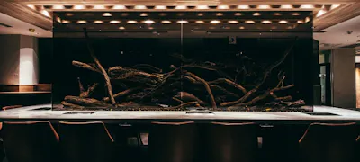 個室があるレストラン 横浜のクリスマスレストラン予約22 一休 Comレストラン 個室があるレストラン 横浜のクリスマスレストラン予約22 一休 Comレストラン