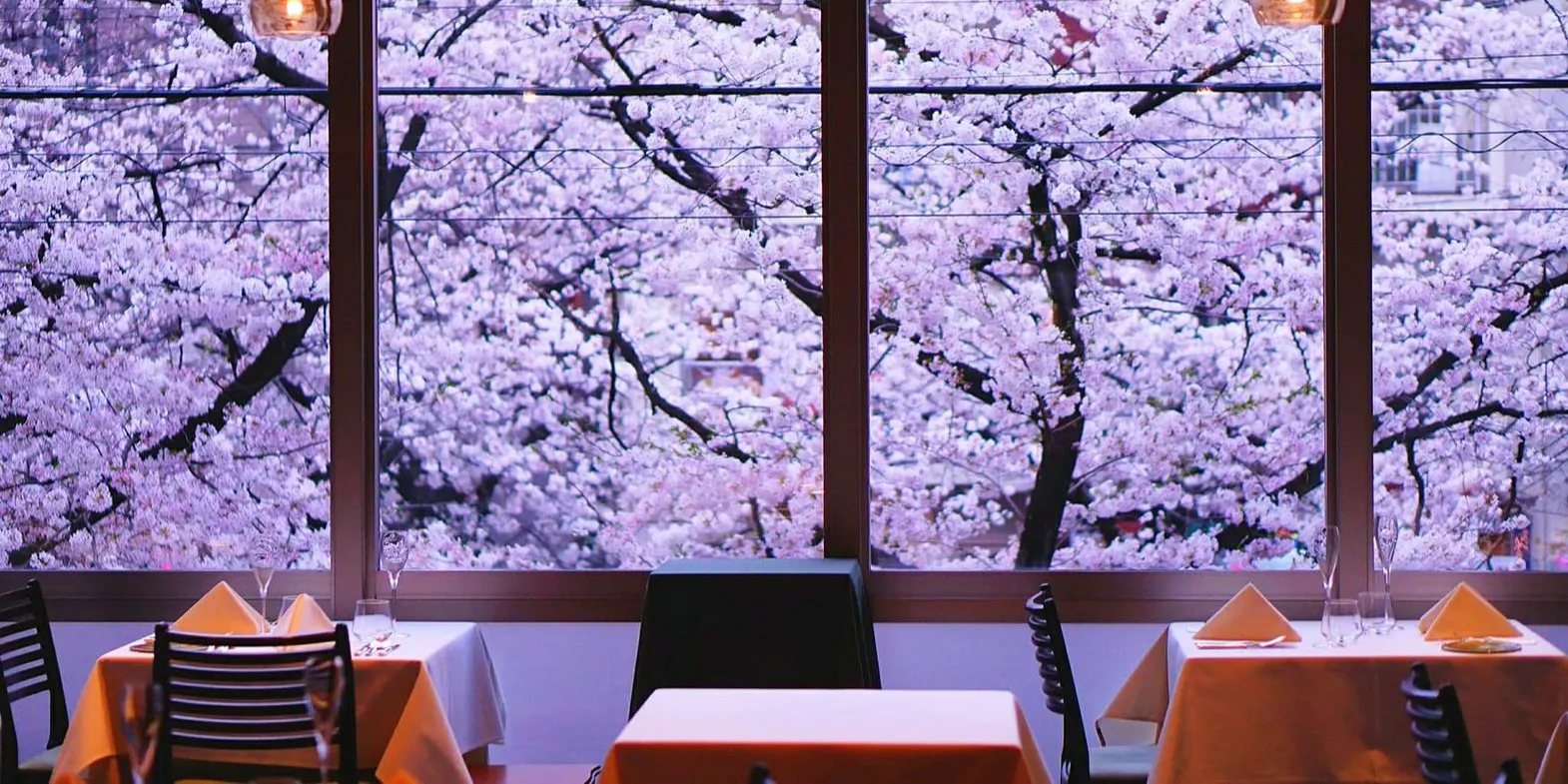 21年版 中目黒のお祝いランチ15選 個室あり ワンランク上 雰囲気がgoodな和食などお祝い向きのお店を代外食好きolが厳選 ページ 2 4 アニバーサリーズマガジン