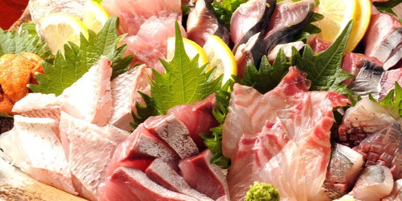 銀座 魚ばか（ウオバカ）