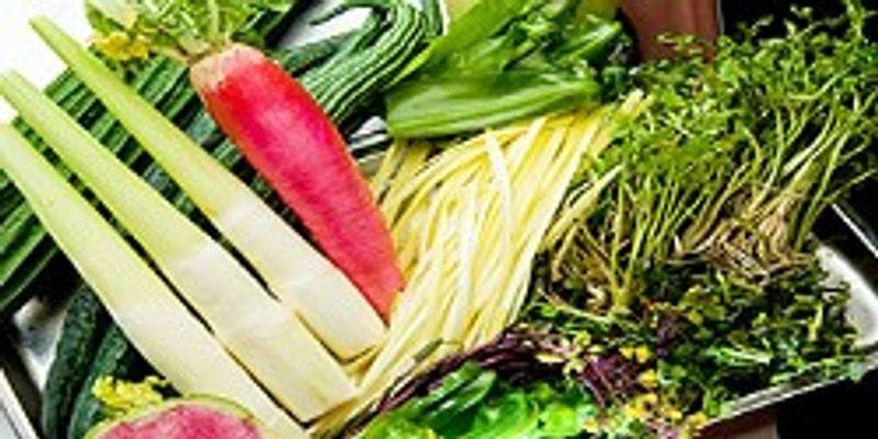 旬食材のショートコース～旬の食材と自家農園野菜をたっぷり使ったコース（全12品）～