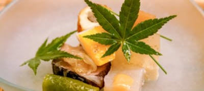 出町柳駅周辺ランチ21 おすすめ 絶品お昼ごはん11選 一休 Comレストラン 出町柳駅周辺ランチ21 おすすめ 絶品お昼ごはん11選 一休 Comレストラン