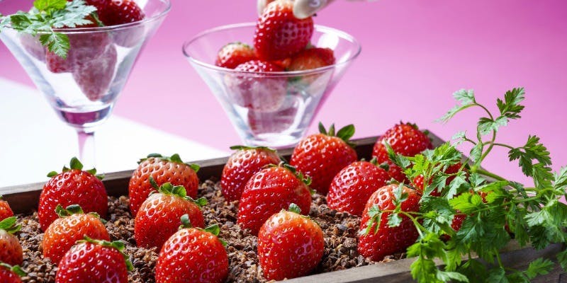 The WAREHOUSE／アロフト東京銀座 - 画像15