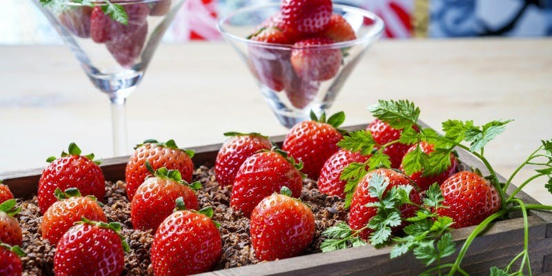 The WAREHOUSE／アロフト東京銀座 - 画像16